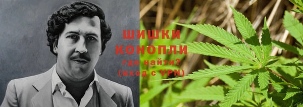 ALPHA PVP Беломорск