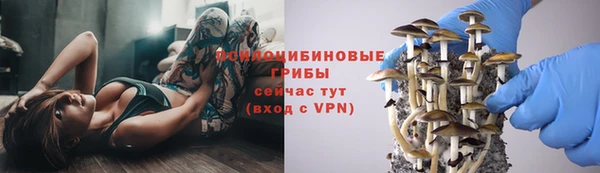 гидропоника Белоозёрский